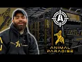 Arsenal Strength x Animal Paradise Gym