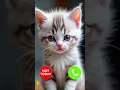 Download Lagu Iphone 15 Pro Max 😮 #ringtone #cat #gato #babygirl #youtubeshorts #catlovers #viralvideo #mi #shorts