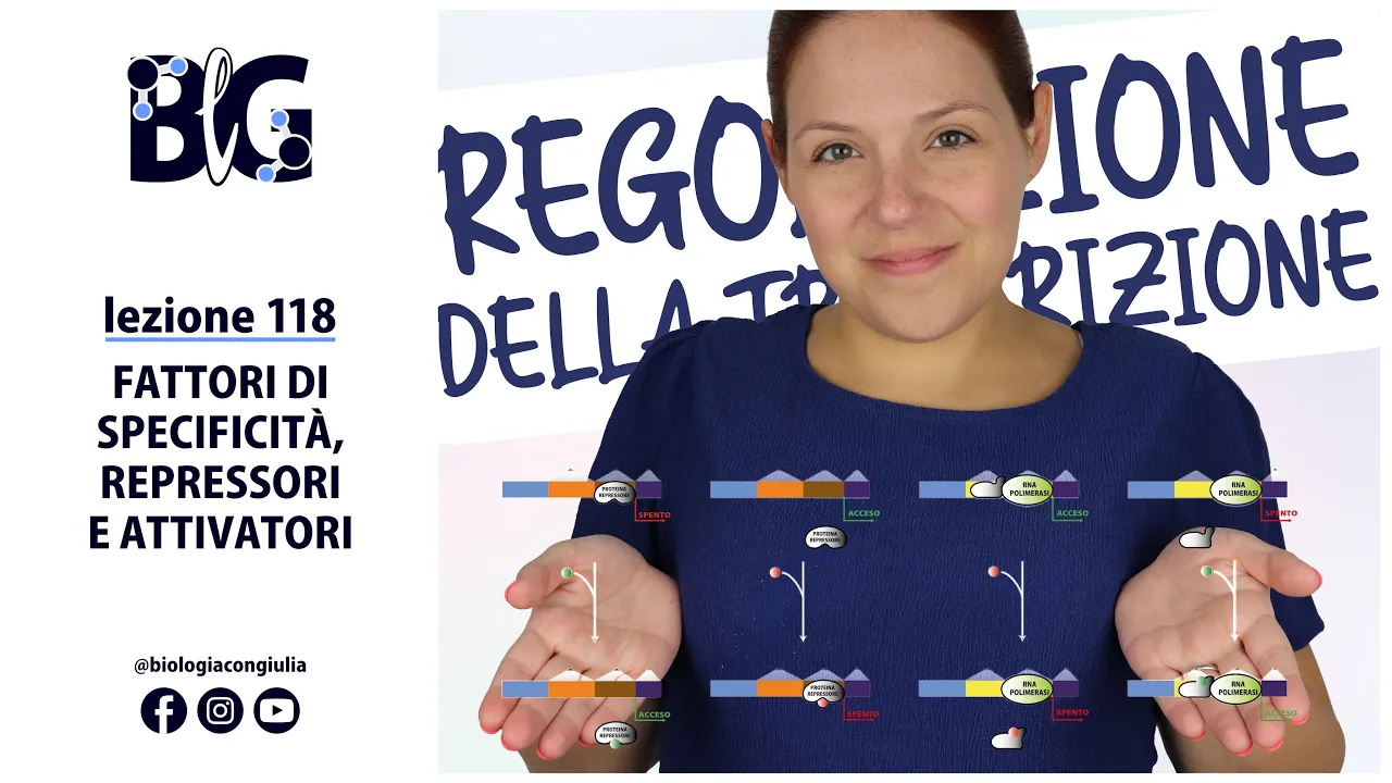 FATTORI di SPECIFICITÀ, REPRESSORI e ATTIVATORI - REGOLAZIONE della TRASCRIZIONE