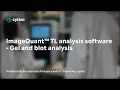 ImageQuant TL Compare Function Tutorial Lane Similarity Scores Dendrograms
