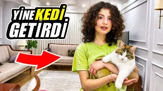 ESMANUR EVE YENİ BİR KEDİ GETİRDİ!