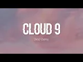 Download Lagu Beach Bunny - Cloud 9 (Lyrics)