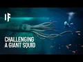 What If You Were Attacked by a Giant Squid