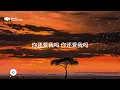 【音樂心弦精選】菲道尔/Dior大颖《在加纳共和国离婚》『你还爱我吗 你还爱我吗, 我没办法看着你双眼说那句话, 你懂我的吧 你懂我的啊, 你懂我会不争气想回到你身旁』【動態歌詞MV】