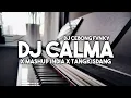 Download Lagu DJ CALMA X Mashup India X Tangkisdang || Viral tiktok Terbaru