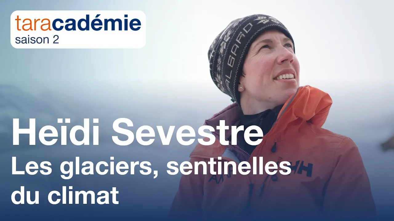 Visioconférence taracadémie S2 | Les glaciers, sentinelles du climat par Heïdi Sevestre