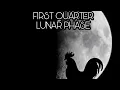 Lunar First Quarter Phase Part 2 Of 4