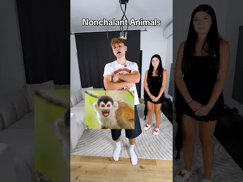 Kdo To Udělal Nejlíp? 😂