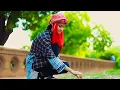 Download Lagu tere sadqe mein aaqa sare Jahan ko Deen Mila bedinaune ne kalma pada...