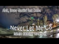 Alok,Bruno Martini feat Zeeba - Never Let Me Go (Robert Wagner a.k BT Remix)