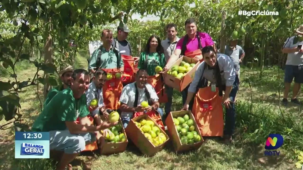 Boa safra: Epagri organiza evento de abertura da temporada de colheita de maracujá em Santa Catarina