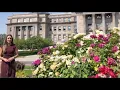 Kratom campaign finance donations