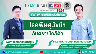 สัตว์เลี้ยงที่มีโอกาสติดพิษสุนัขบ้ามากที่สุดคือชนิดใด