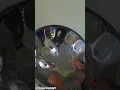 Nadia Batson - Pieces Steelpan Cover