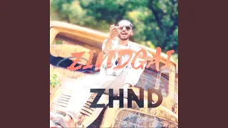 ZHINDGAI ZHND 