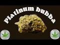 Platinum Bubba Strain Review