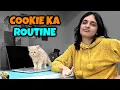 Download Lagu COOKIE KA ROUTINE | Aayu and Pihu Show