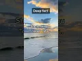 Download Lagu Dia mengirimimu pesan selamat malam#shorts