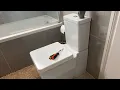 How to fix a loose toilet seat soft close hidden bolts toilet seat fixing