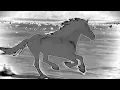 ☆ Obsessed ~ horsegiirL ☆ (Slowed)
