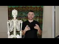 Massage Basics Skeletal System