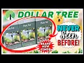 DOLLAR TREE HAUL Worthy Finds You NEED To GRAB Now New Arrivals NEVER Seen Before Scores