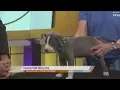 SPCA of East Texas Floyd