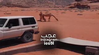 خلك وحيد  طلال مداح  مسرع  دندنها