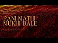 Lagu Pani Mathi Mukhi Bale | Reimagined | Malayalam Classic × Electronic Groove | Krishna Kumar