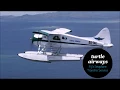 Fiji - Turtle Airways
