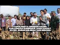 Download Lagu Panen Melon bersama Pak KDM, Ayo Semangat Membangun Desa
