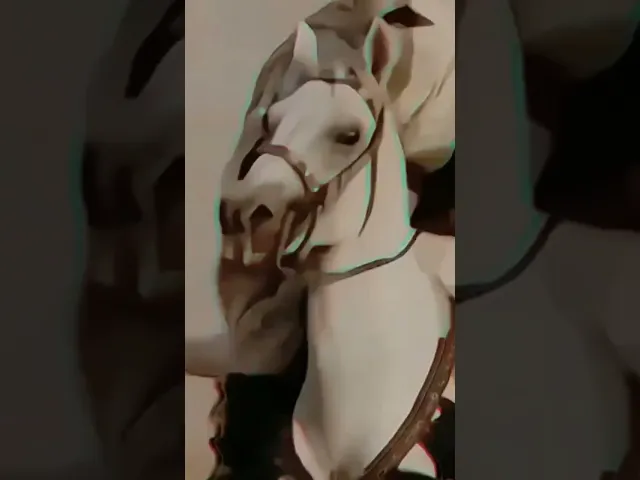 ⁣امير المؤمنين علي ابن ابي طالب عليه السلام #العراق #قصص #السعوديه