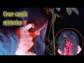 Download Lagu LIVE MISTERI‼️ DI HUTAN KO ADA CEWE CANTIK? ANEH