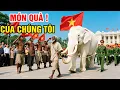 Download Lagu Xôn Xao: Bộ Tộc Phi Châu Tặng Quân Đội Việt Nam Voi Trắng - Ý Nghĩa Khiến Cả Thế Giới Chấn Động