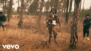 enzo ishall ndanzvenga official video 
