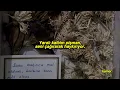 Elissa - Hobak Wagaa / Wajaa (Türkçe Çeviri) Enta Lameen? إليسا - حبك وجع انت لمين