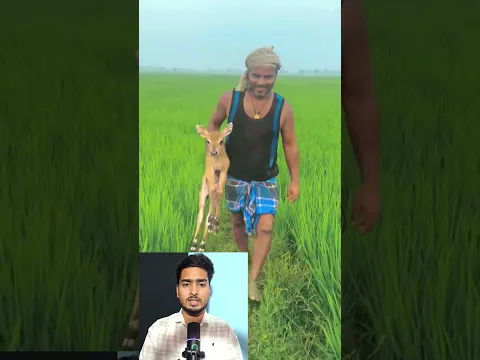 मां से बिछड़े नन्हे नीलगाय को युवक ने बचाया
