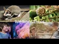 Welkom bij ARTIS
