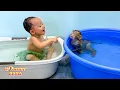 Download Lagu Monkey Kaka and Diem eagerly preparing to take a bath look so cute MP3