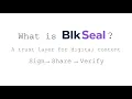 BlkSeal Explainer