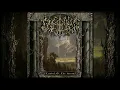 Download Lagu Theoden's Reign - Citadel of the Stars (Full album)