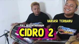 Download CIDRO 2 Pegon Jaranan cover Mr Beruk MP3