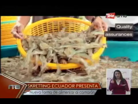 Skretting Ecuador presenta nueva forma de alimentar al camarón