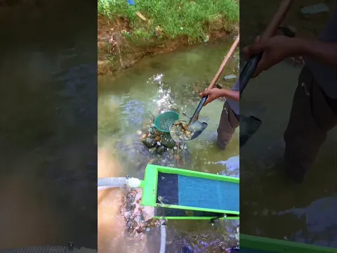 Feeding Green Machine POV