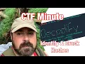 CTF Minute Episode 1 Decodify