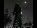 Vengeance of she X The Fallen - playboy carti (instrumental)