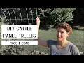 Cattle Panel Trellis - what we like and don t like about ours