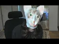 Nyanners Face Reveal