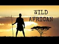 Download Lagu Best Wild Africa Music, African Traditional Music Instrumental Amazing