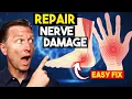 Research Reveals This Repairs Nerve Damage